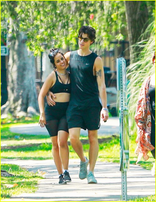 shawn mendes camila cabello look so in love on a stroll in la 11