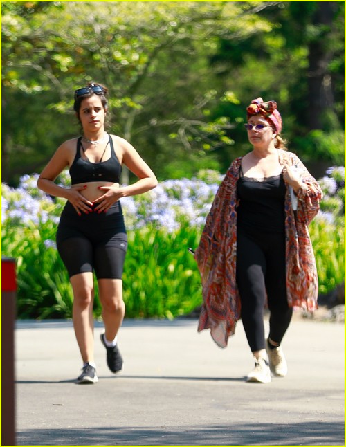 shawn mendes camila cabello look so in love on a stroll in la 13