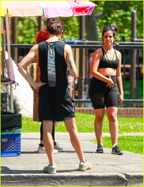 shawn mendes camila cabello look so in love on a stroll in la 17