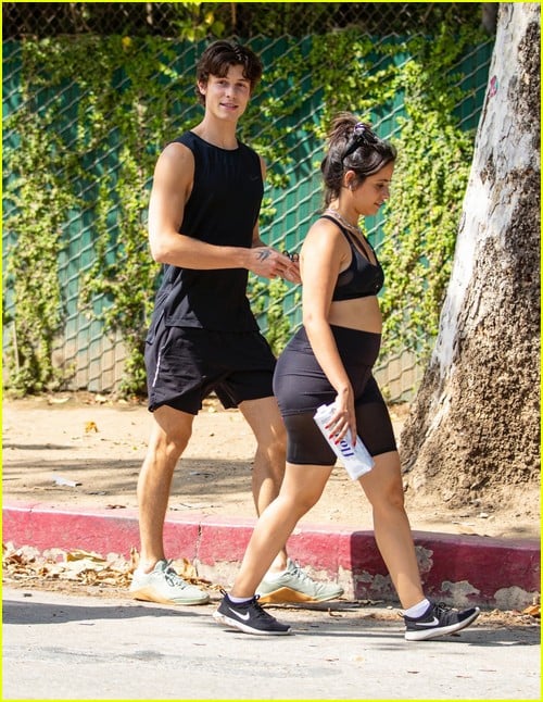 shawn mendes camila cabello look so in love on a stroll in la 30