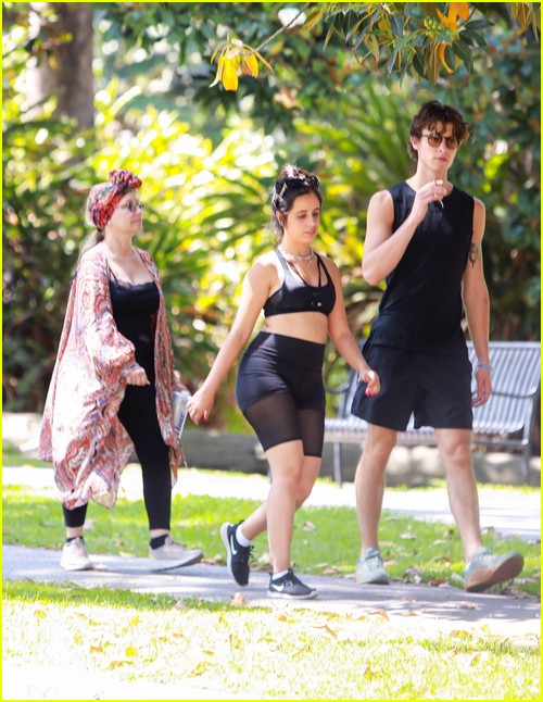 shawn mendes camila cabello look so in love on a stroll in la 36