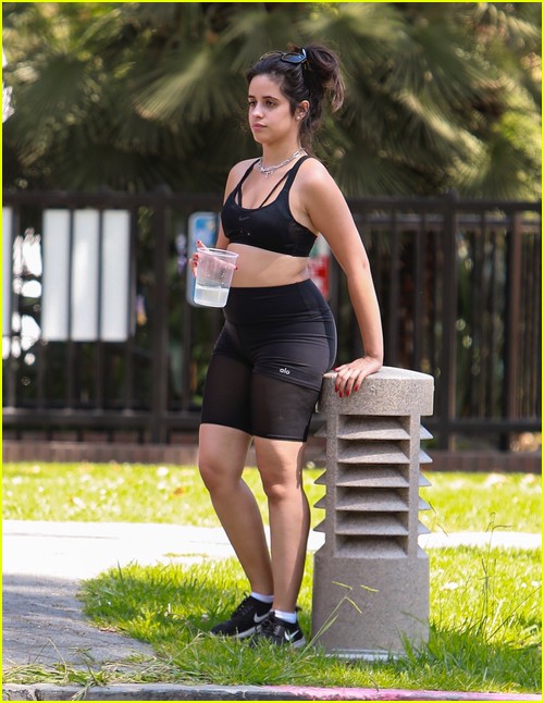 shawn mendes camila cabello look so in love on a stroll in la 39