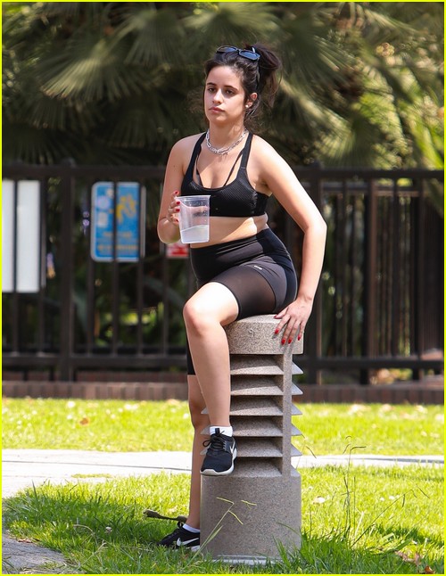 shawn mendes camila cabello look so in love on a stroll in la 41