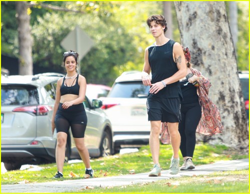 shawn mendes camila cabello look so in love on a stroll in la 43