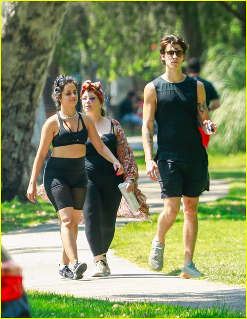 shawn mendes camila cabello look so in love on a stroll in la 45