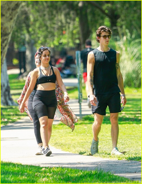 shawn mendes camila cabello look so in love on a stroll in la 46