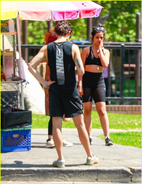 shawn mendes camila cabello look so in love on a stroll in la 48