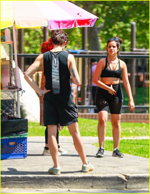 shawn mendes camila cabello look so in love on a stroll in la 49