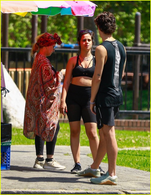 shawn mendes camila cabello look so in love on a stroll in la 51