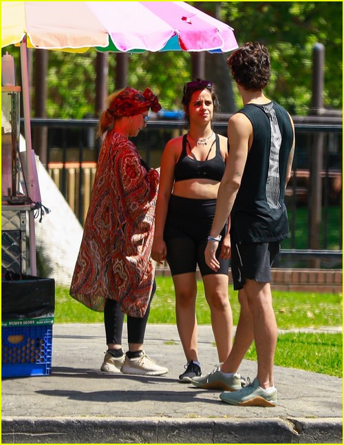 shawn mendes camila cabello look so in love on a stroll in la 52