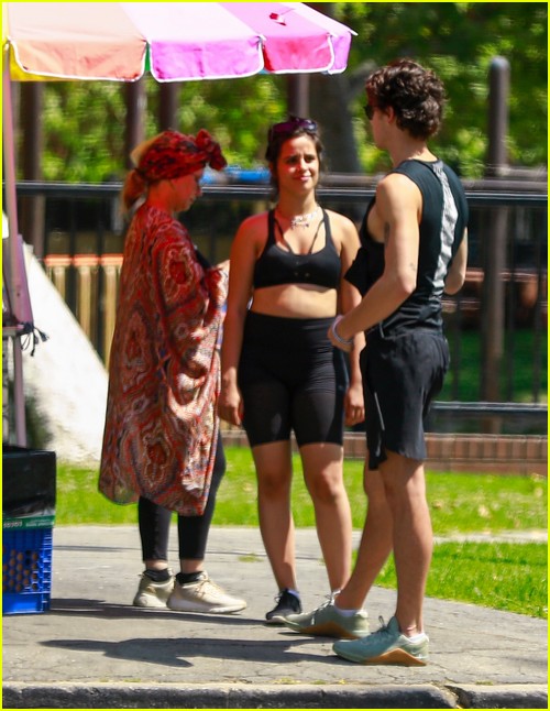 shawn mendes camila cabello look so in love on a stroll in la 53