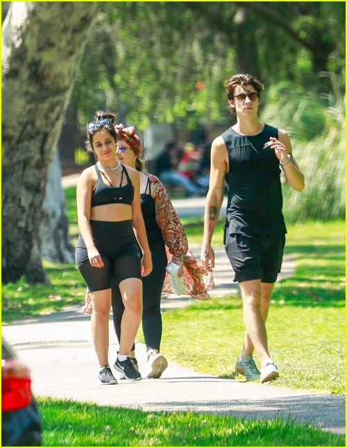 shawn mendes camila cabello look so in love on a stroll in la 54