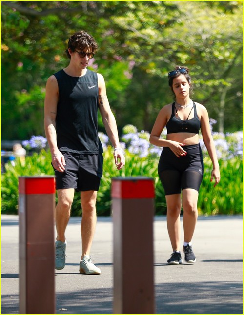 shawn mendes camila cabello look so in love on a stroll in la 55