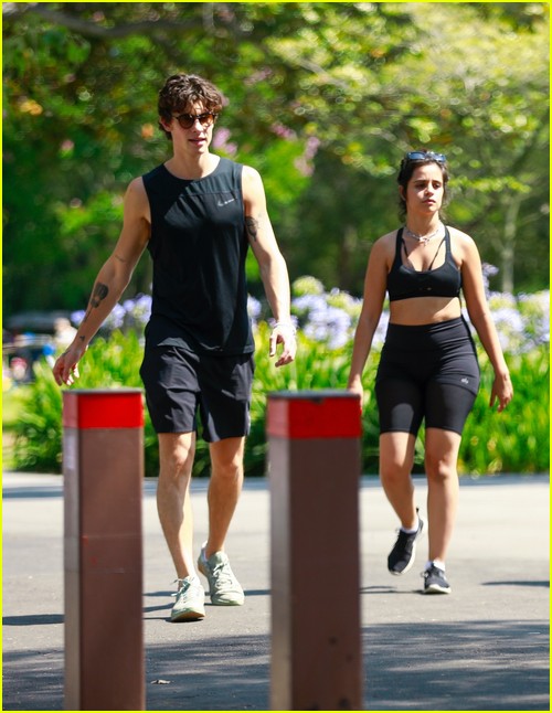 shawn mendes camila cabello look so in love on a stroll in la 56