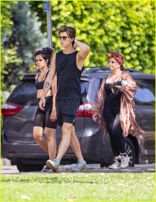 shawn mendes camila cabello look so in love on a stroll in la 60