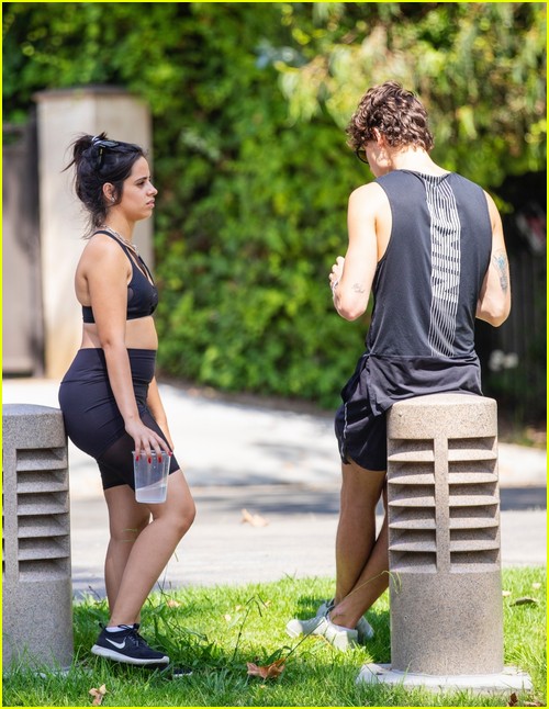 shawn mendes camila cabello look so in love on a stroll in la 62