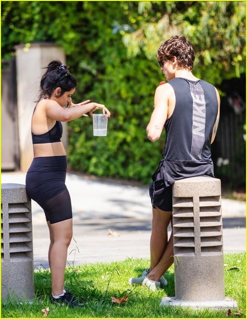 shawn mendes camila cabello look so in love on a stroll in la 63