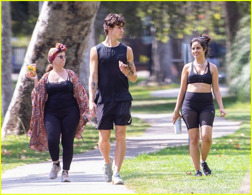 shawn mendes camila cabello look so in love on a stroll in la 64