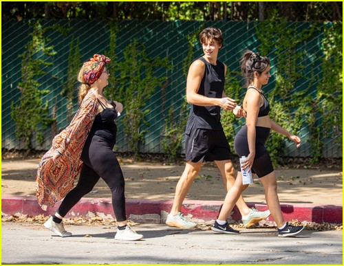 shawn mendes camila cabello look so in love on a stroll in la 66