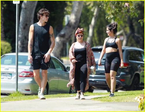 shawn mendes camila cabello look so in love on a stroll in la 69
