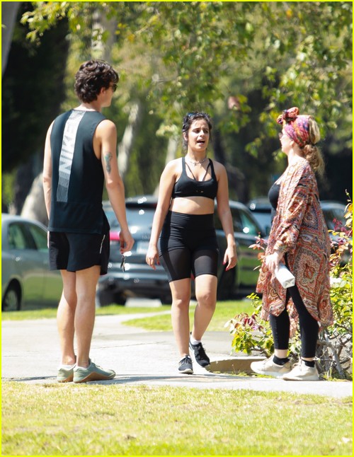 shawn mendes camila cabello look so in love on a stroll in la 71