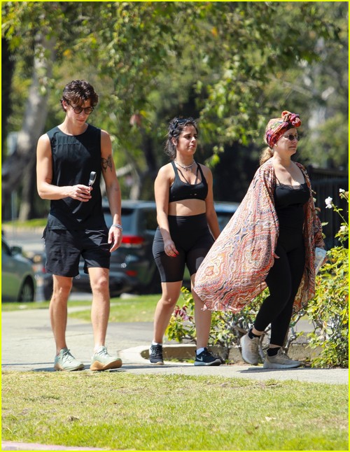 shawn mendes camila cabello look so in love on a stroll in la 72