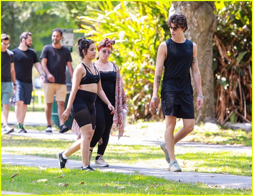 shawn mendes camila cabello look so in love on a stroll in la 74