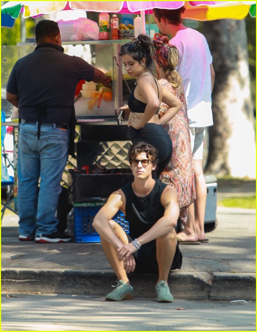 shawn mendes camila cabello look so in love on a stroll in la 80