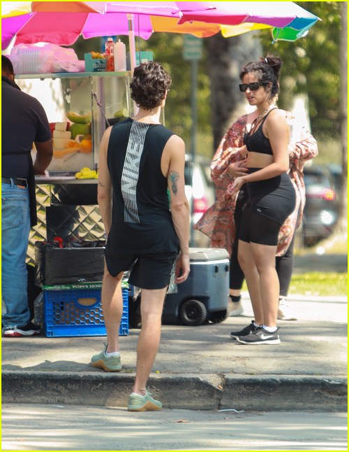shawn mendes camila cabello look so in love on a stroll in la 84