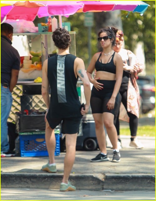 shawn mendes camila cabello look so in love on a stroll in la 86