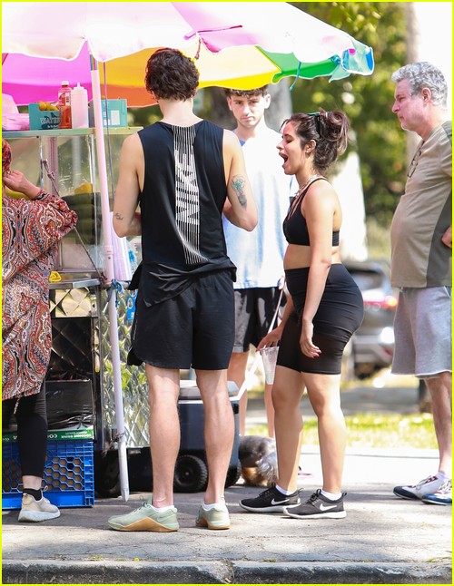 shawn mendes camila cabello look so in love on a stroll in la 88