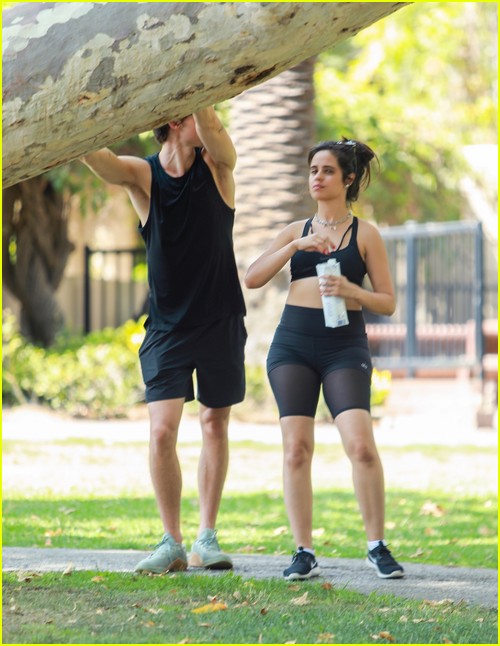 shawn mendes camila cabello look so in love on a stroll in la 93