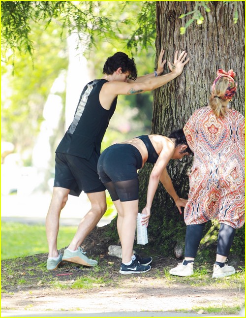shawn mendes camila cabello look so in love on a stroll in la 96