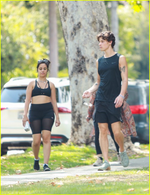 shawn mendes camila cabello look so in love on a stroll in la 98