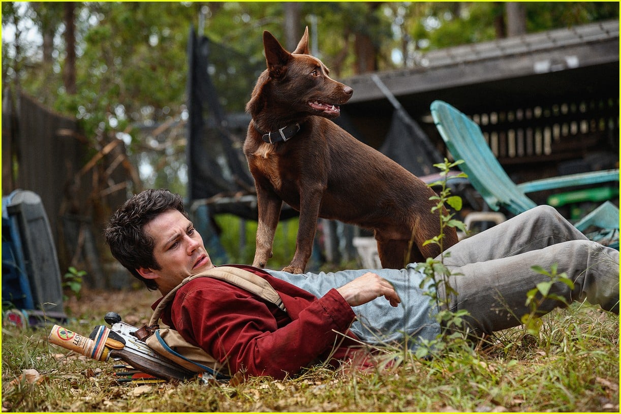 Full Sized Photo of dylan obriens love and monsters premieres on hulu on his birthday 06 Dylan