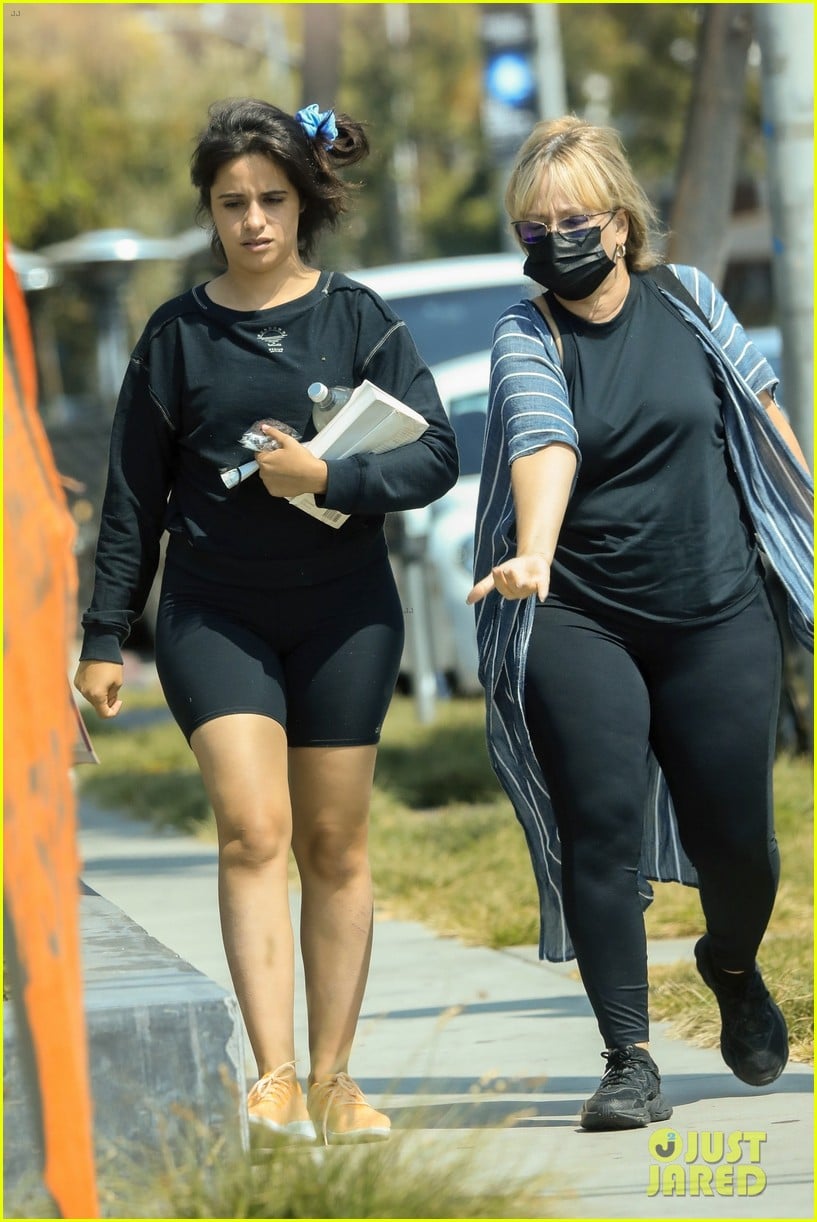 Camila Cabello & Her Mom Pick Up Lunch to Go in West Hollywood | Photo