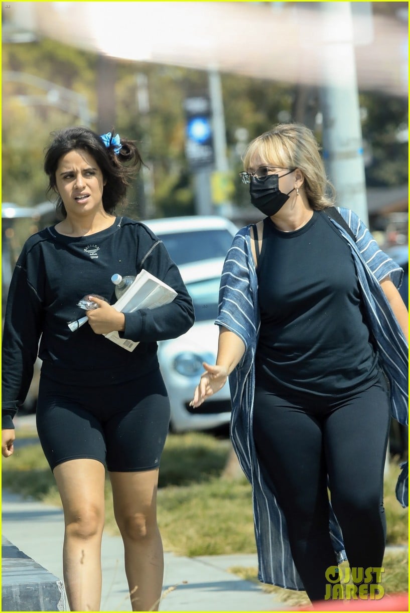 Camila Cabello & Her Mom Pick Up Lunch to Go in West Hollywood | Photo