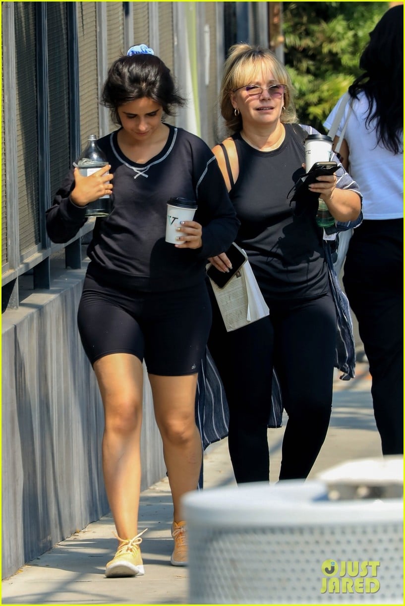 Camila Cabello & Her Mom Pick Up Lunch to Go in West Hollywood | Photo