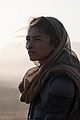 zendaya reveals how long she was actually on the dune set could star in sequel 05.