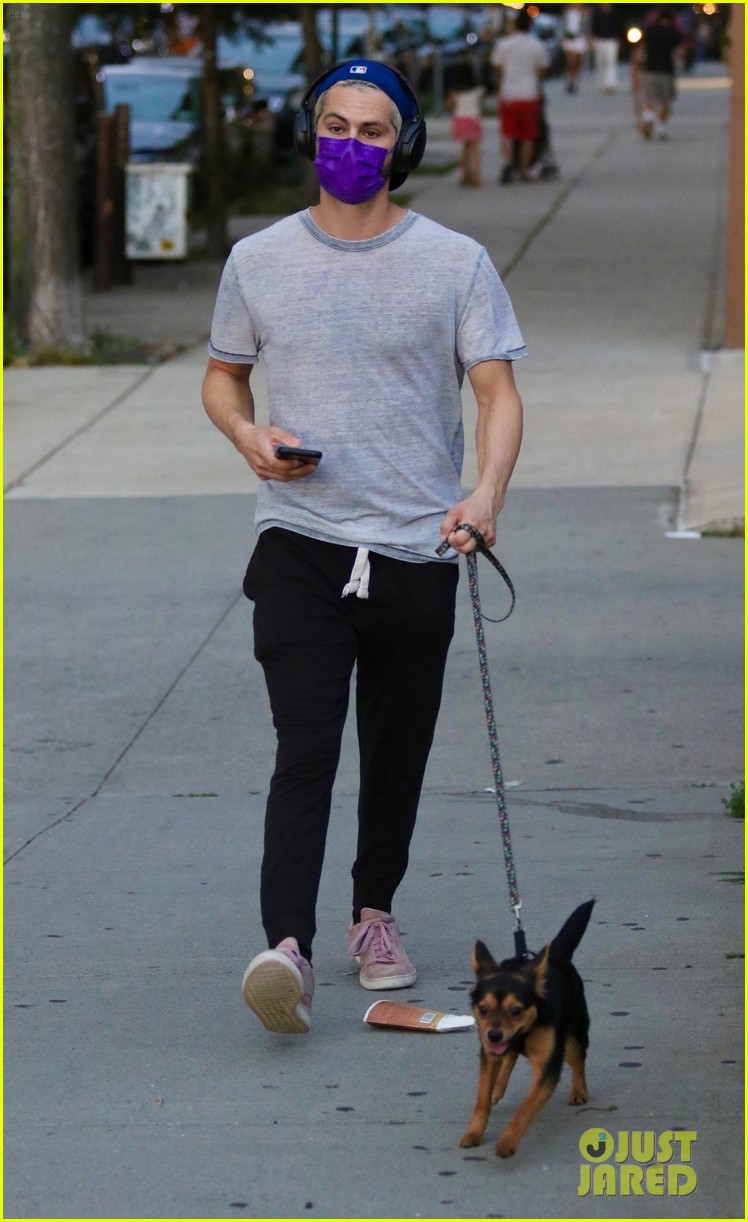 Dylan O'Brien Stays Safe While Taking His Dog for a Walk in NYC Photo