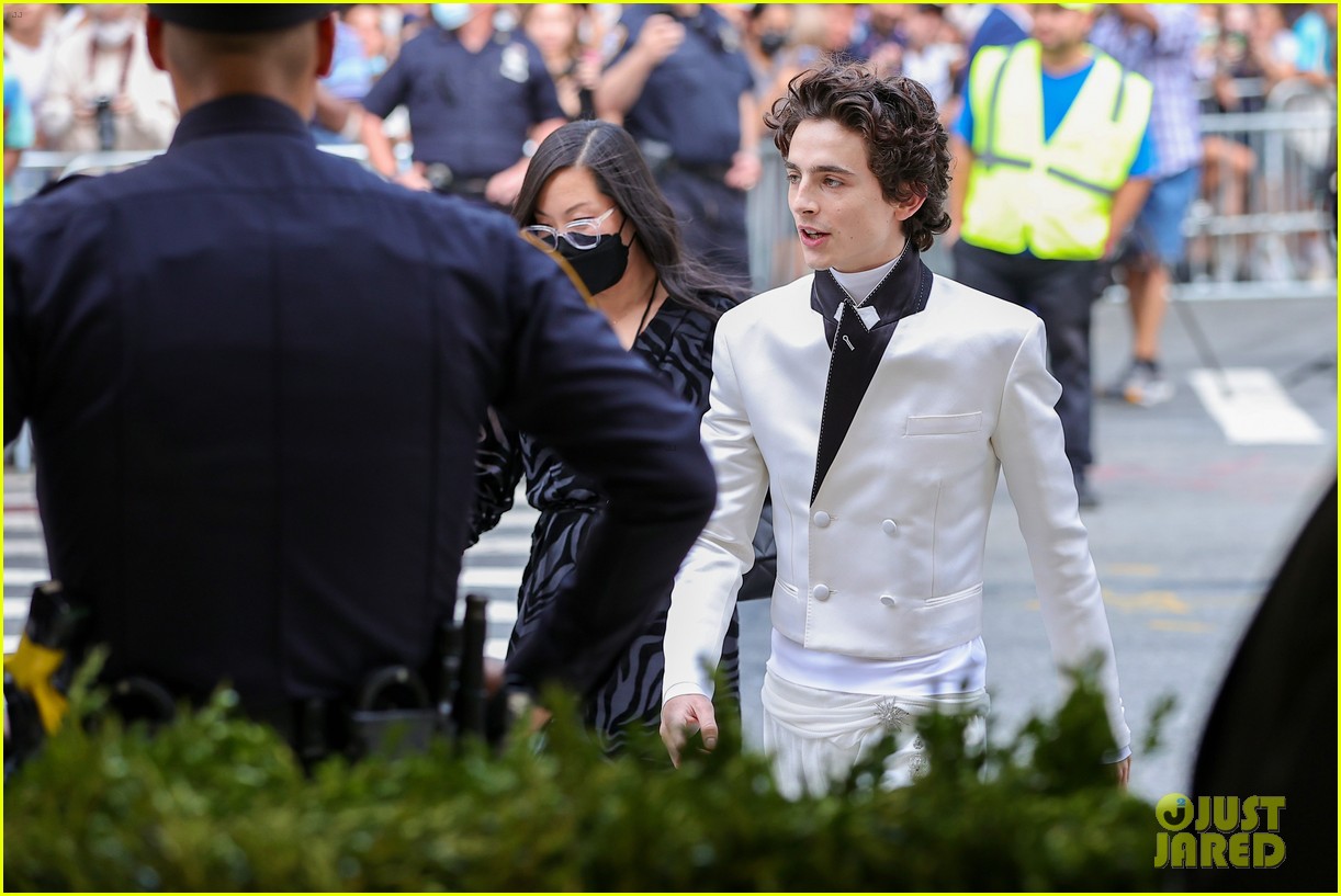 Timothee Chalamet's Smile Will Make You Swoon at Met Gala 2021 Photo