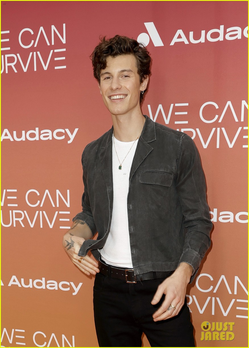 shawn mendes we can survive tiktok break 03