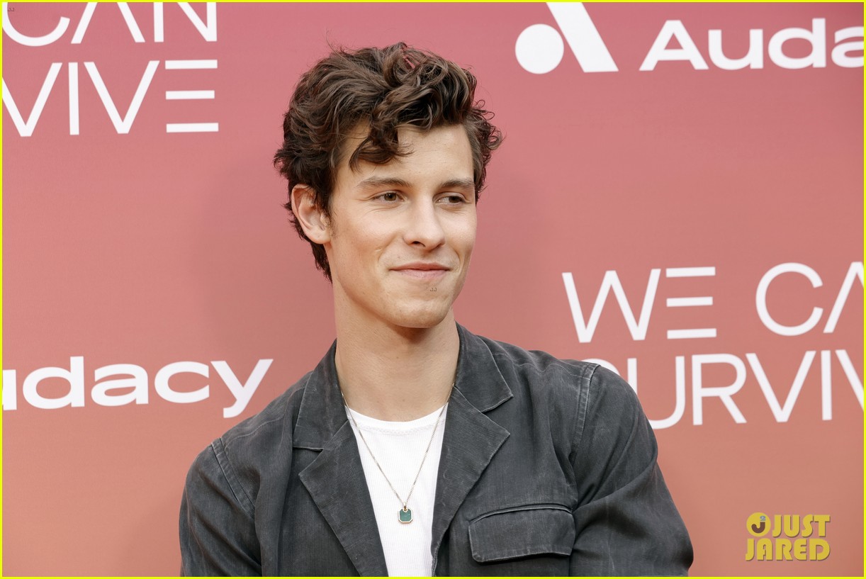 shawn mendes we can survive tiktok break 04