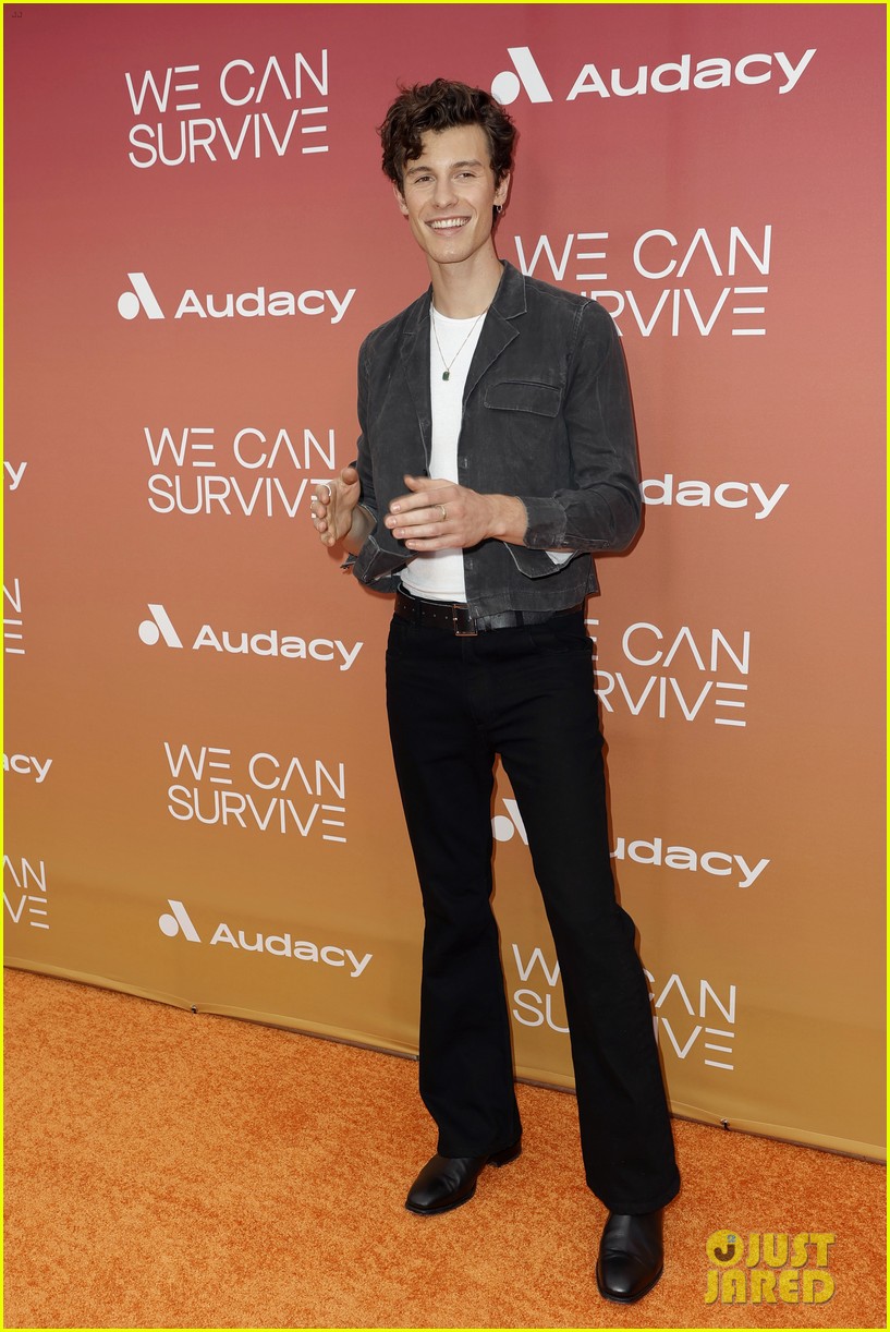 shawn mendes we can survive tiktok break 05