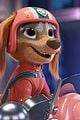 paw patrol the movie to get sequel and spinoff series 02