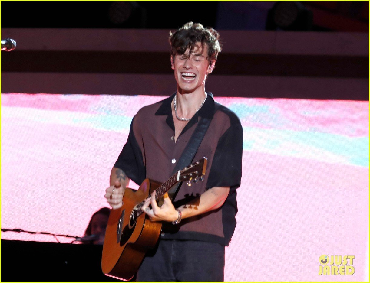 Shawn Mendes Debuts Heartbreaking New Song 'It'll Be Okay' - Listen Now ...