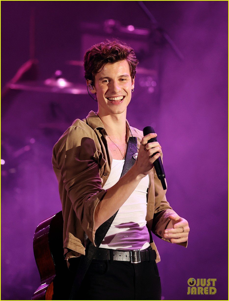 Shawn Mendes Debuts Heartbreaking New Song 'It'll Be Okay' Listen Now! Photo 1331840 Photo