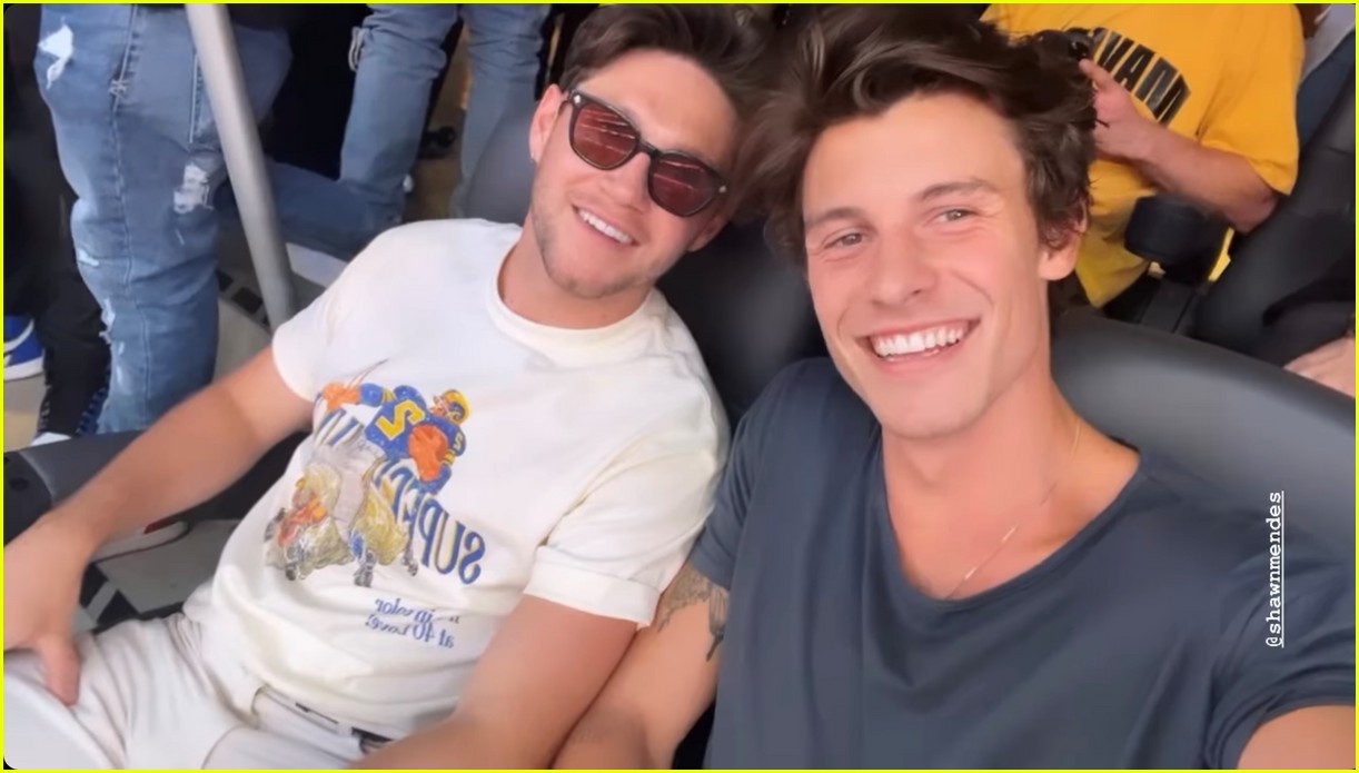 Shawn Mendes & Niall Horan Sat Together at Super Bowl 2022! Photo
