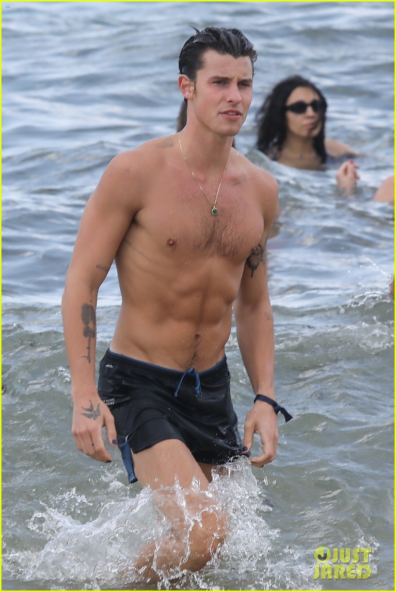 shawn mendes beach 01