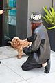 sophie turner joe jonas lunch margaret ratliff quote pics 17